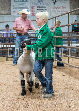 MAYES_COUNTY_FAIR_PREMIUM_SALE_©KTROYER-122