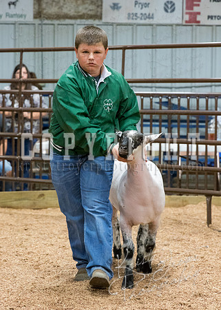MAYES_COUNTY_FAIR_PREMIUM_SALE_©KTROYER-124