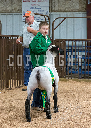 MAYES_COUNTY_FAIR_PREMIUM_SALE_©KTROYER-127