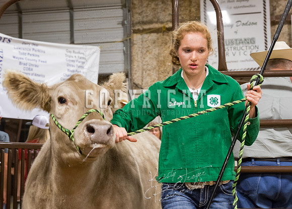 MAYES_COUNTY_FAIR_PREMIUM_SALE_©KTROYER-38