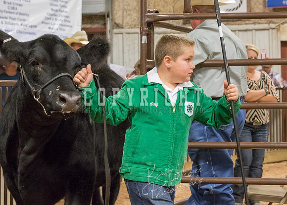MAYES_COUNTY_FAIR_PREMIUM_SALE_©KTROYER-42