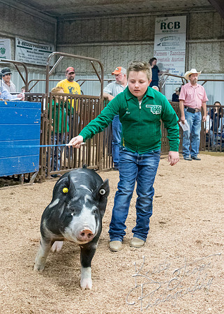MAYES_COUNTY_FAIR_PREMIUM_SALE_©KTROYER-39