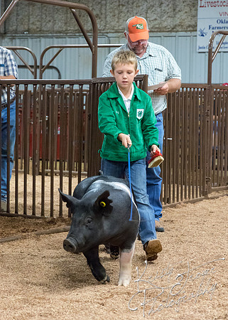 MAYES_COUNTY_FAIR_PREMIUM_SALE_©KTROYER-57