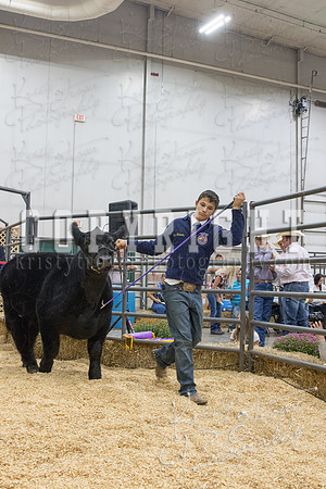 2017_rogers_county_fair-9649