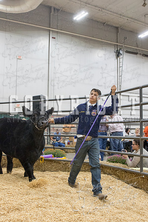 2017_rogers_county_fair-9650
