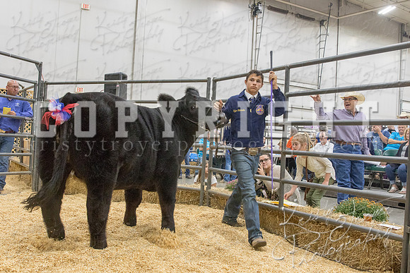 2017_rogers_county_fair-9651
