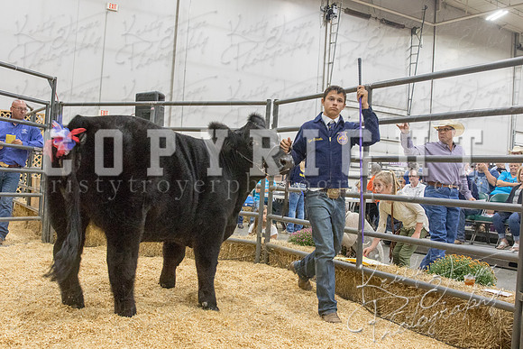 2017_rogers_county_fair-9652