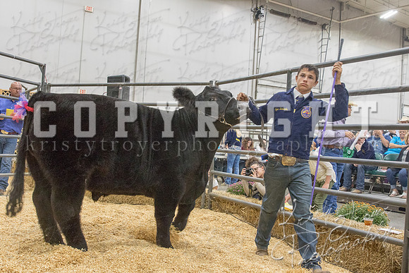 2017_rogers_county_fair-9653