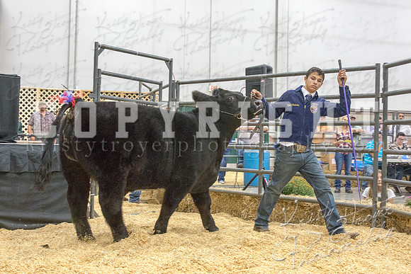 2017_rogers_county_fair-9654