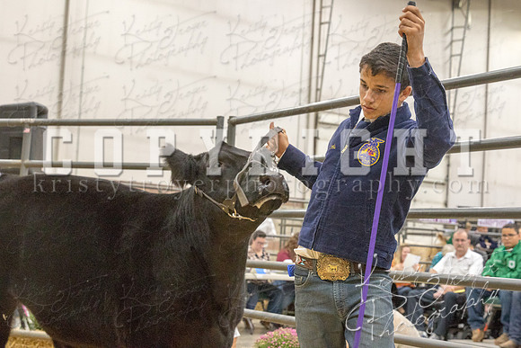 2017_rogers_county_fair-9655