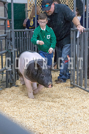 2017_rogers_county_fair-9656