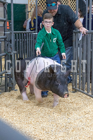 2017_rogers_county_fair-9657