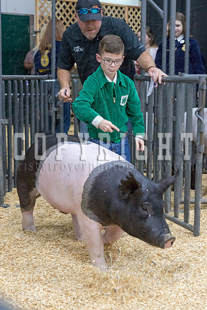 2017_rogers_county_fair-9658