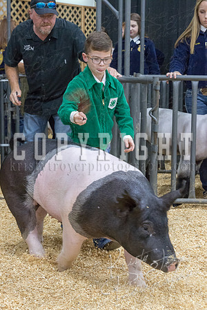 2017_rogers_county_fair-9659