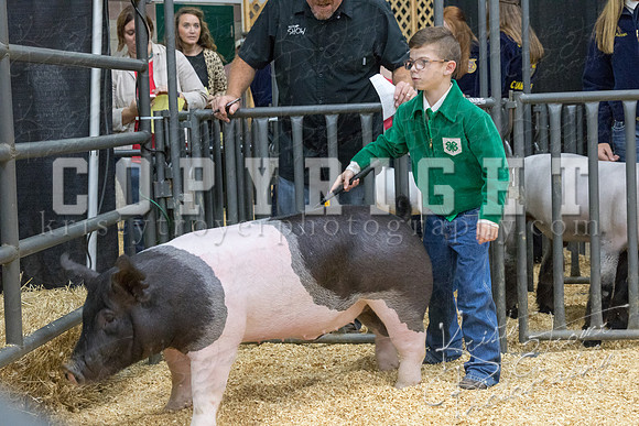 2017_rogers_county_fair-9660
