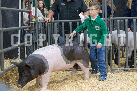 2017_rogers_county_fair-9661