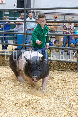 2017_rogers_county_fair-9662