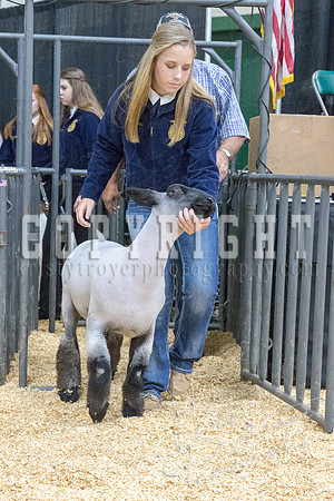 2017_rogers_county_fair-9664