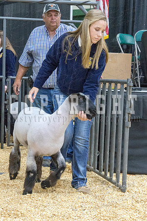 2017_rogers_county_fair-9665