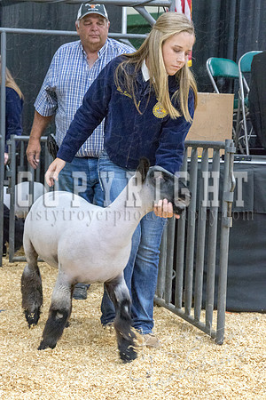2017_rogers_county_fair-9666
