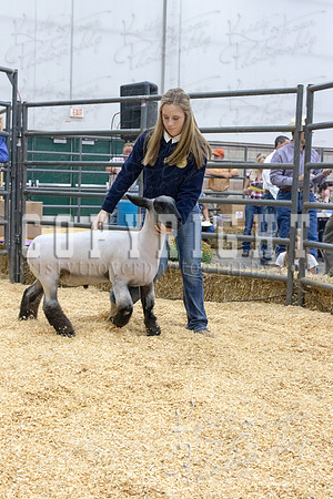 2017_rogers_county_fair-9667