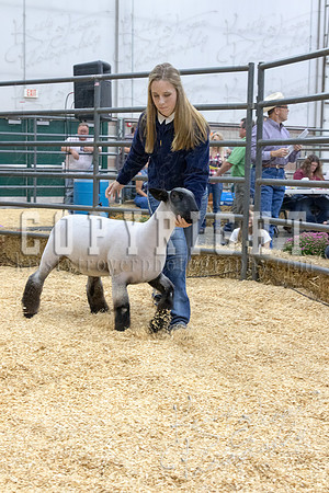 2017_rogers_county_fair-9668