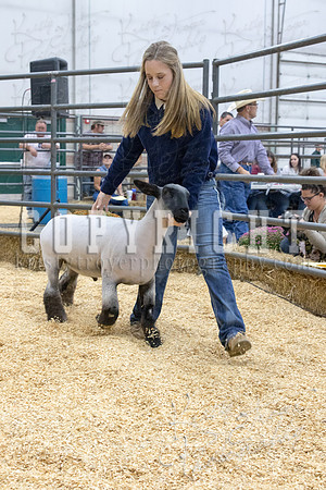 2017_rogers_county_fair-9669
