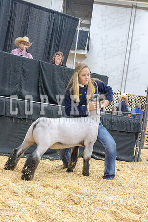 2017_rogers_county_fair-9670