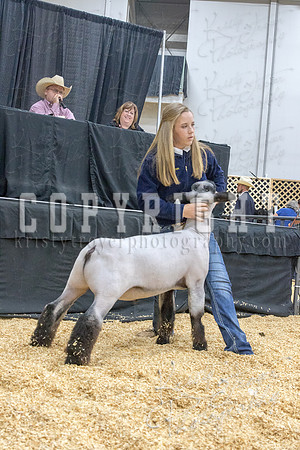 2017_rogers_county_fair-9671