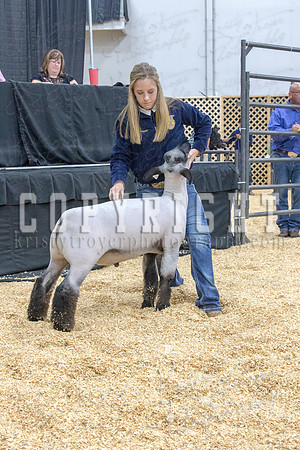 2017_rogers_county_fair-9673