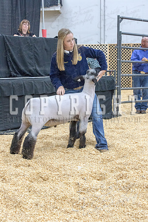 2017_rogers_county_fair-9674