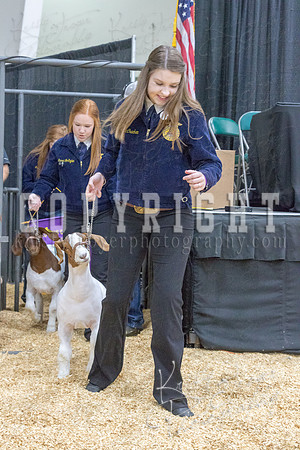 2017_rogers_county_fair-9675