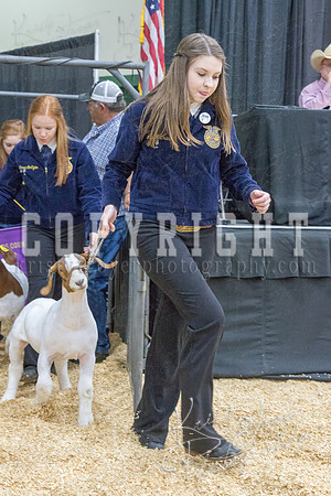2017_rogers_county_fair-9676