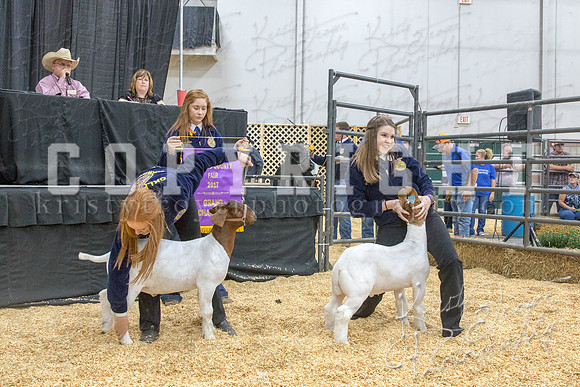 2017_rogers_county_fair-9677