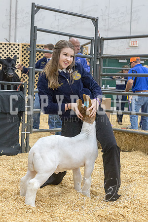 2017_rogers_county_fair-9678