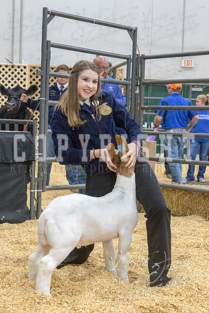 2017_rogers_county_fair-9679
