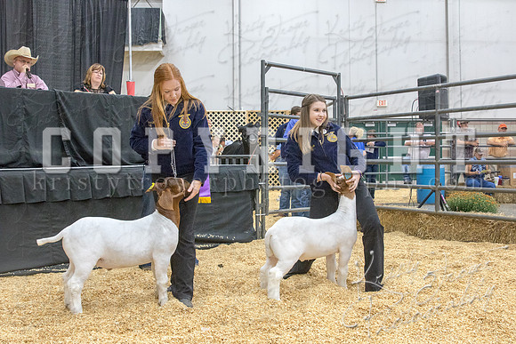 2017_rogers_county_fair-9680