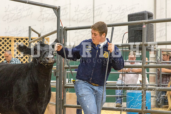 2017_rogers_county_fair-9681