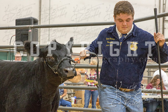 2017_rogers_county_fair-9683