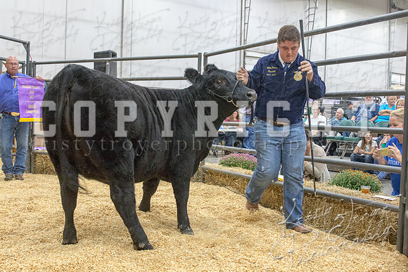 2017_rogers_county_fair-9684