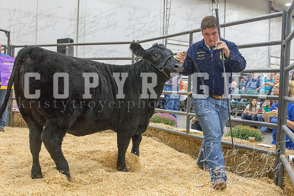 2017_rogers_county_fair-9685