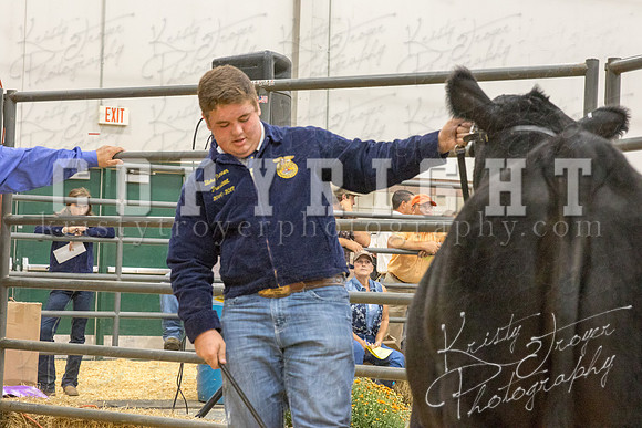 2017_rogers_county_fair-9686