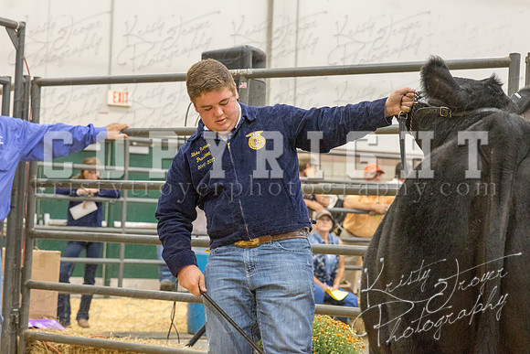 2017_rogers_county_fair-9687