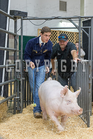 2017_rogers_county_fair-9688