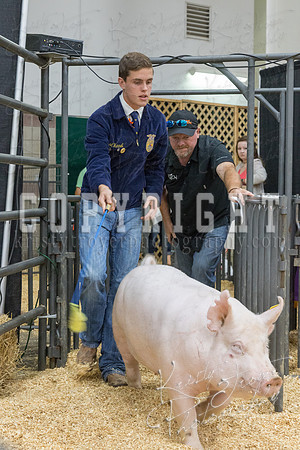 2017_rogers_county_fair-9689