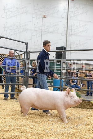 2017_rogers_county_fair-9690