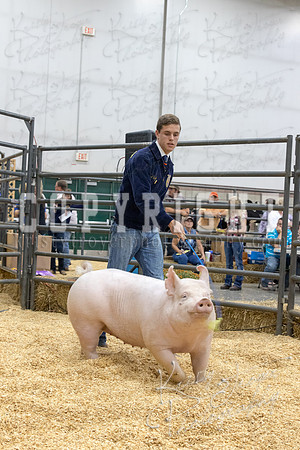 2017_rogers_county_fair-9691