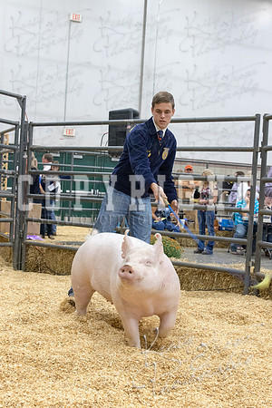 2017_rogers_county_fair-9692