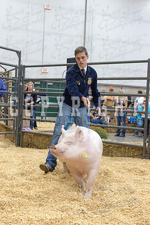 2017_rogers_county_fair-9693