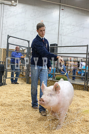 2017_rogers_county_fair-9694
